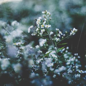 场景 在线 视频 剪辑西元
